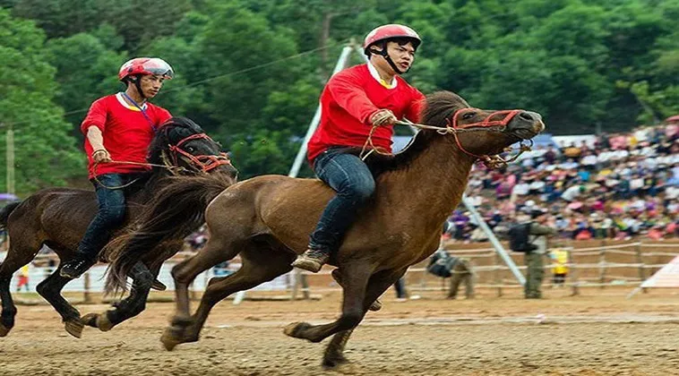 Tìm Hiểu Đua Ngựa V7BET: Chiến Lược Đặt Cược 2 Tìm Hiểu Đua Ngựa V7BET: Chiến Lược Đặt Cược